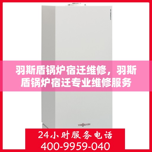 羽斯盾锅炉宿迁维修，羽斯盾锅炉宿迁专业维修服务