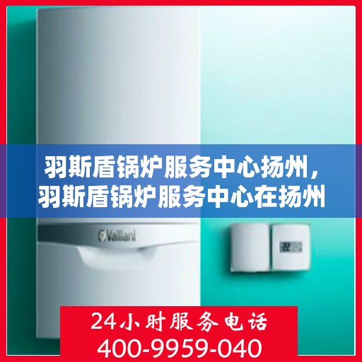 羽斯盾锅炉服务中心扬州，羽斯盾锅炉服务中心在扬州的专业服务