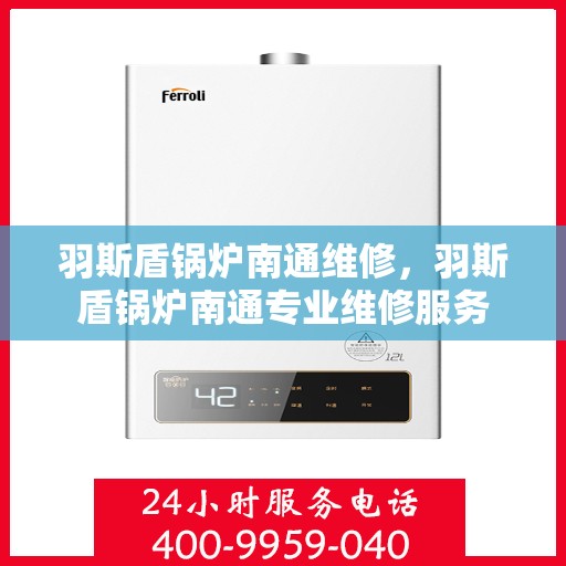 羽斯盾锅炉南通维修，羽斯盾锅炉南通专业维修服务
