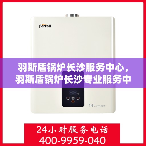 羽斯盾锅炉长沙服务中心，羽斯盾锅炉长沙专业服务中心，一站式服务，高效解决您的锅炉需求