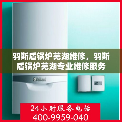 羽斯盾锅炉芜湖维修，羽斯盾锅炉芜湖专业维修服务