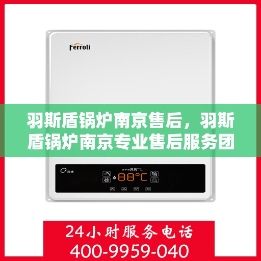 羽斯盾锅炉南京售后，羽斯盾锅炉南京专业售后服务团队，为您提供全方位解决方案