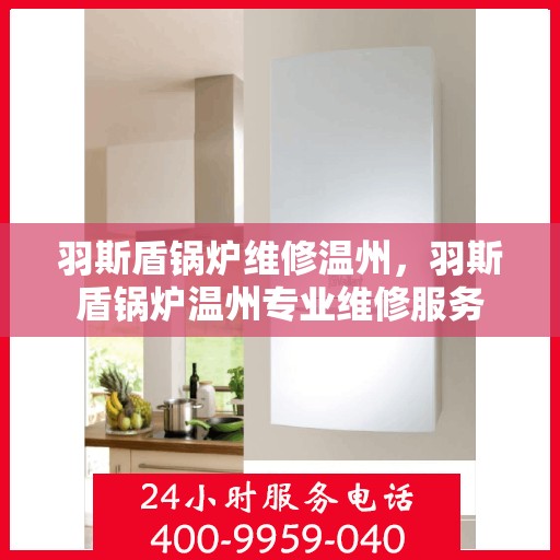 羽斯盾锅炉维修温州，羽斯盾锅炉温州专业维修服务