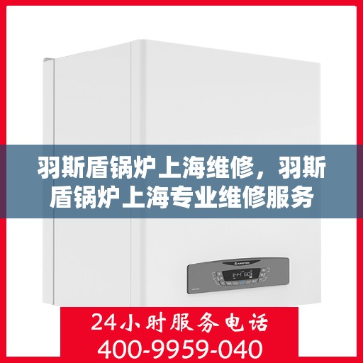 羽斯盾锅炉上海维修，羽斯盾锅炉上海专业维修服务