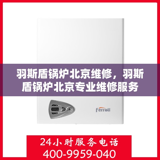 羽斯盾锅炉北京维修，羽斯盾锅炉北京专业维修服务