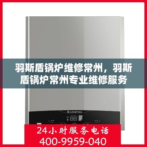 羽斯盾锅炉维修常州，羽斯盾锅炉常州专业维修服务