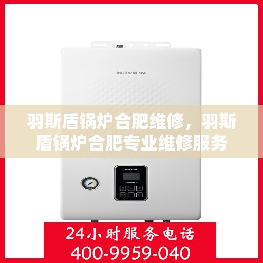 羽斯盾锅炉合肥维修，羽斯盾锅炉合肥专业维修服务
