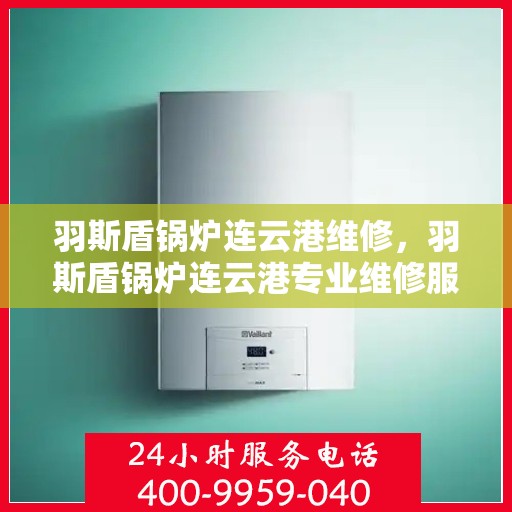 羽斯盾锅炉连云港维修，羽斯盾锅炉连云港专业维修服务