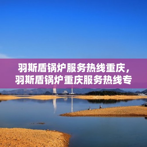 羽斯盾锅炉服务热线重庆，羽斯盾锅炉重庆服务热线专业解答，贴心保障