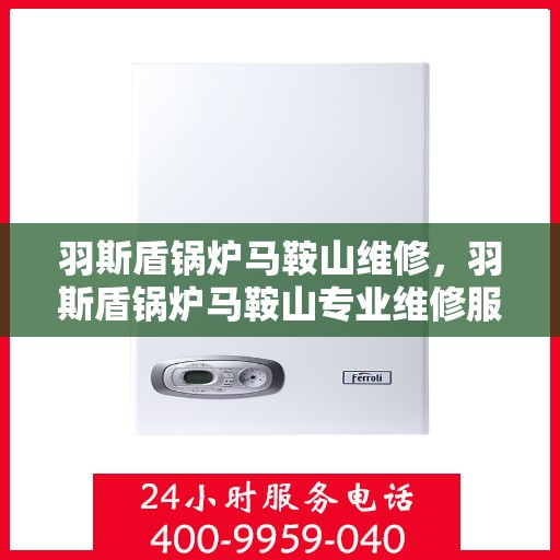 羽斯盾锅炉马鞍山维修，羽斯盾锅炉马鞍山专业维修服务