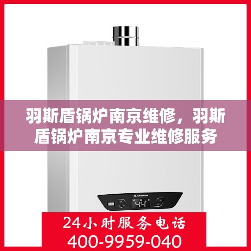 羽斯盾锅炉南京维修，羽斯盾锅炉南京专业维修服务