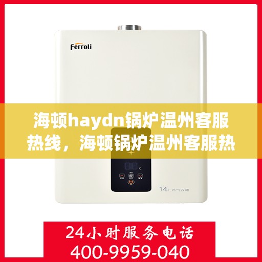 海顿haydn锅炉温州客服热线，海顿锅炉温州客服热线，专业支持与解决方案一站式服务