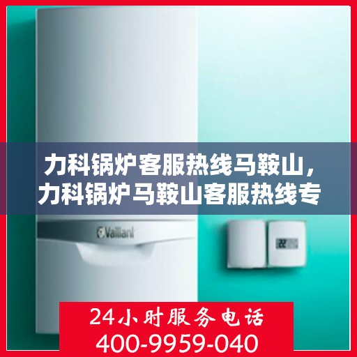 力科锅炉客服热线马鞍山，力科锅炉马鞍山客服热线专业服务，为您解答疑惑