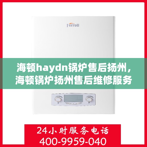 海顿haydn锅炉售后扬州，海顿锅炉扬州售后维修服务解析