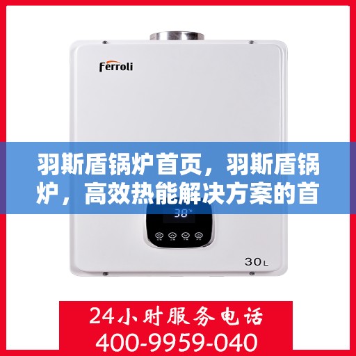 羽斯盾锅炉首页，羽斯盾锅炉，高效热能解决方案的首页呈现