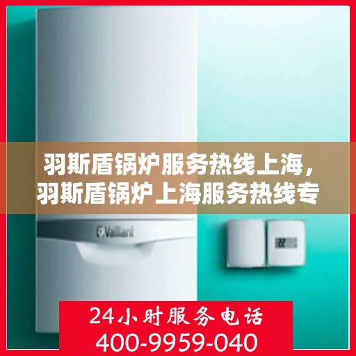 羽斯盾锅炉服务热线上海，羽斯盾锅炉上海服务热线专业解答，贴心保障