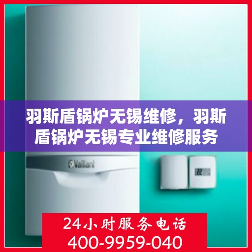 羽斯盾锅炉无锡维修，羽斯盾锅炉无锡专业维修服务