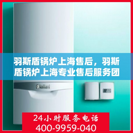 羽斯盾锅炉上海售后，羽斯盾锅炉上海专业售后服务团队