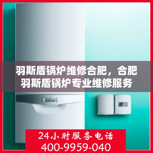 羽斯盾锅炉维修合肥，合肥羽斯盾锅炉专业维修服务