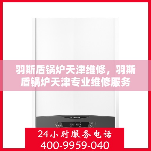 羽斯盾锅炉天津维修，羽斯盾锅炉天津专业维修服务