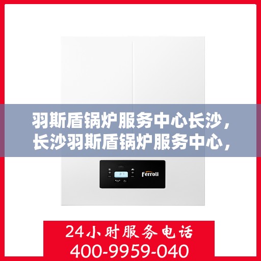 羽斯盾锅炉服务中心长沙，长沙羽斯盾锅炉服务中心，专业维护，安心供热
