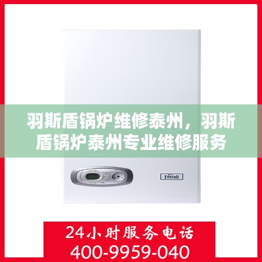 羽斯盾锅炉维修泰州，羽斯盾锅炉泰州专业维修服务